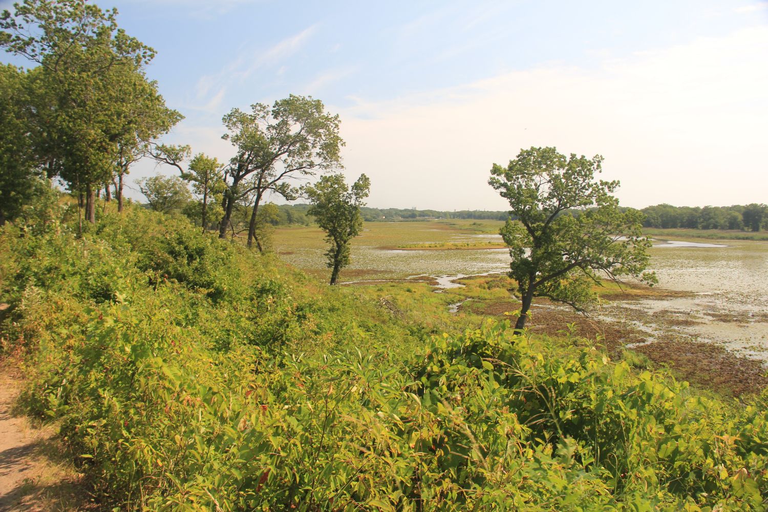 West Beach and Long Lake Trails 